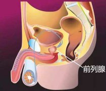 都有哪些不良的坏习惯会损伤男性得前列腺？